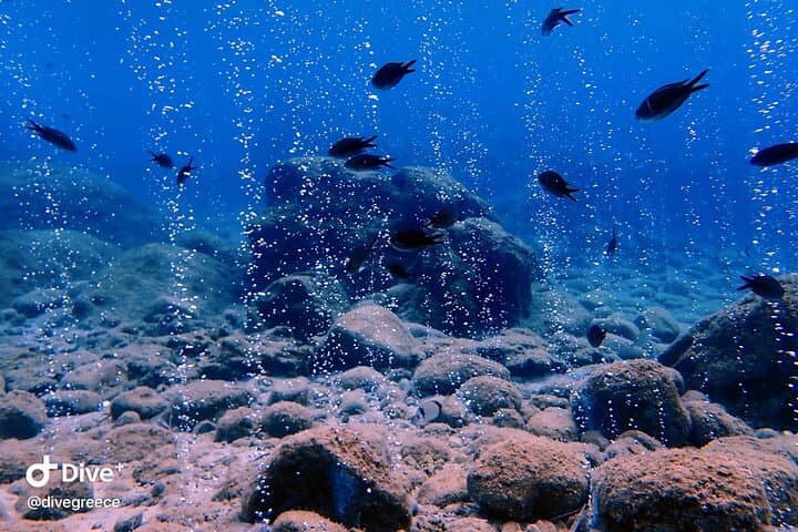 Halkidiki 2-Dive Package: Kassandra Shore Dives for Certified Divers photo 6