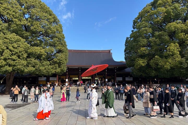 Tokyo Private Car Tour: 5-Hour Custom Sightseeing with Local Guide photo 2