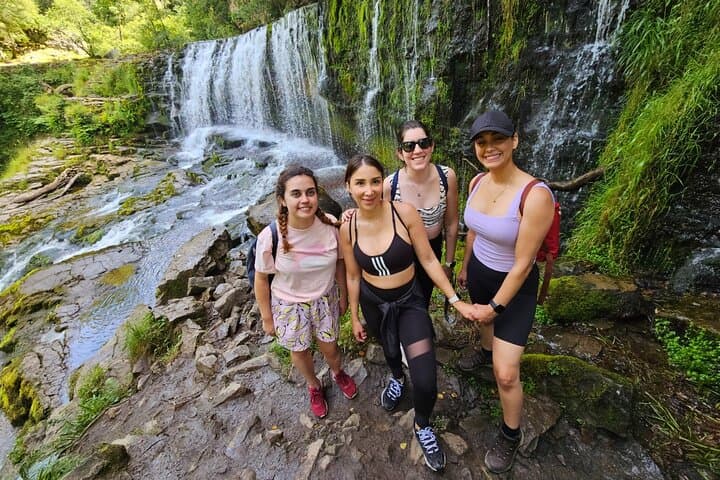 Guided Brecon Beacons 4-Waterfalls Day Hike from Cardiff