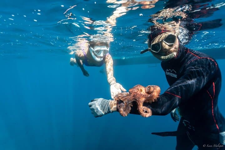 Snorkeling the Amalfi Coast Marine Reserve: Hidden Bays and Clear Water photo 6