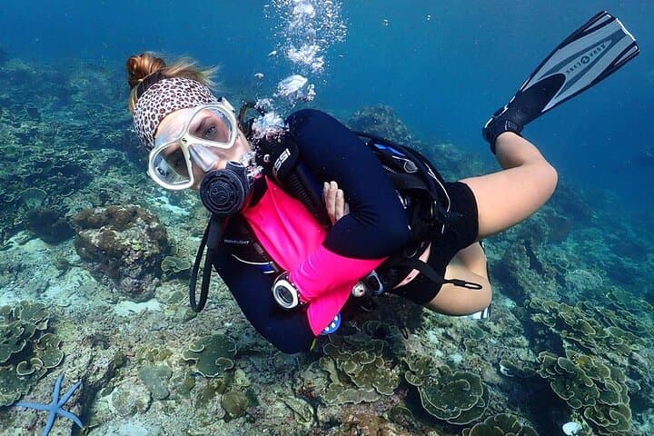 Hurghada Red Sea Full-Day Scuba Diving with Lunch