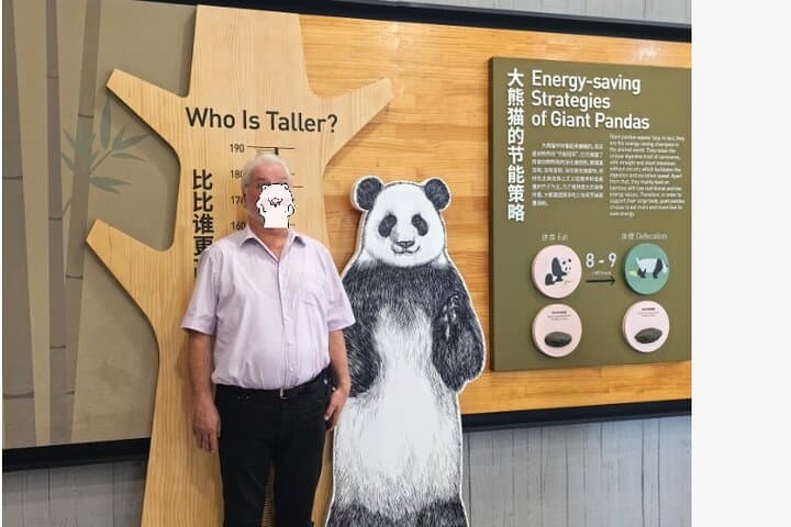 Chengdu Giant Panda Base: Early-Morning Small-Group Tour & Metro Return photo 6