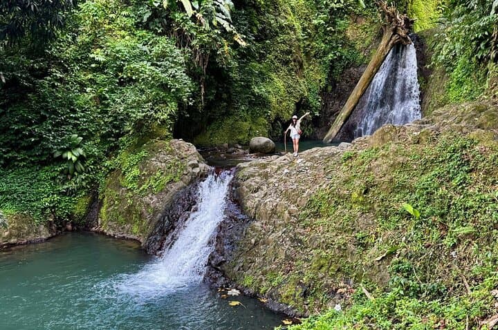 Grand Etang to Seven Sisters: Waterfall Hike & Swim Day Tour in Grenada photo 2