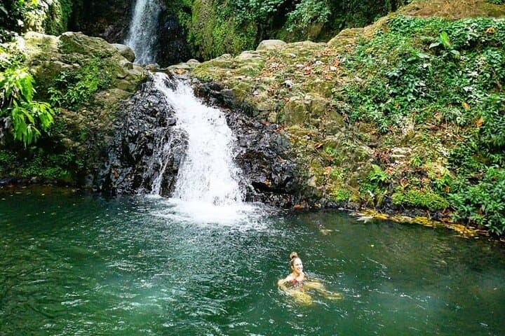 Grand Etang to Seven Sisters: Waterfall Hike & Swim Day Tour in Grenada photo 3
