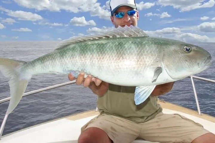 Dubai Marina Private Deep Sea Fishing Trip — 4-Hour Charter with Pro Crew photo 3