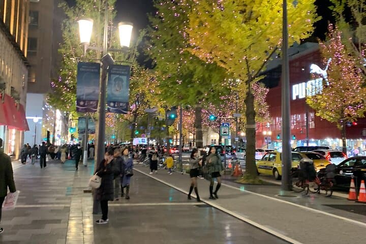 Osaka Night Walk: Hidden Alleys and Local Streets Tour photo 3