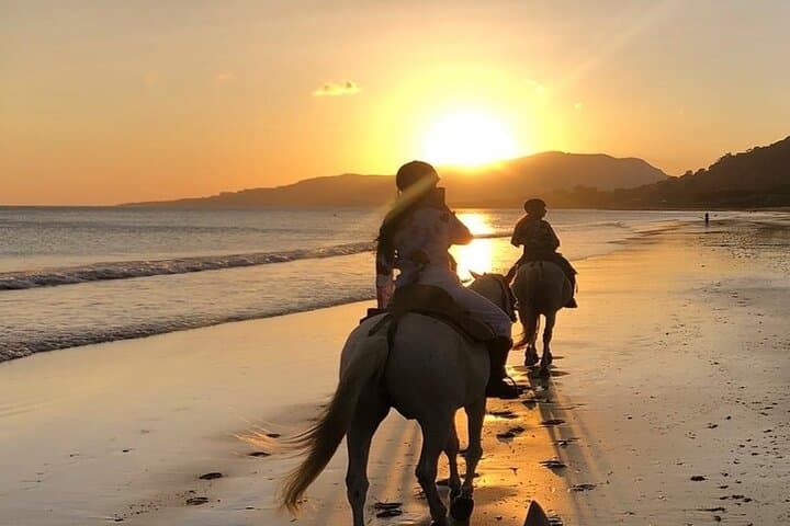 Coastal Horseback Riding in Agadir: 2-Hour Dune & Eucalyptus Forest Ride photo 3
