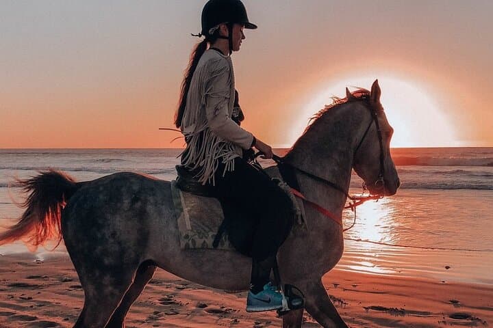 Coastal Horseback Riding in Agadir: 2-Hour Dune & Eucalyptus Forest Ride photo 4