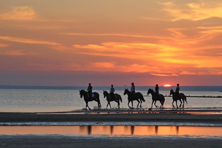 Coastal Horseback Riding in Agadir: 2-Hour Dune & Eucalyptus Forest Ride photo 5