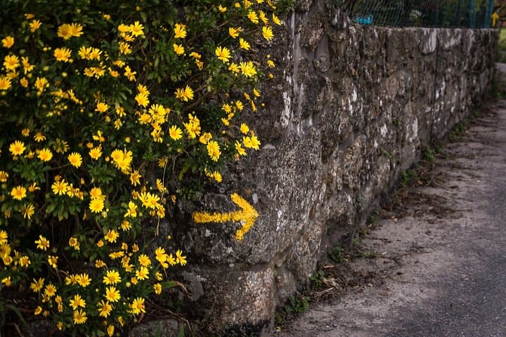 Women on the Way of Santiago: Guided Camino from Porto to Santiago de Compostela