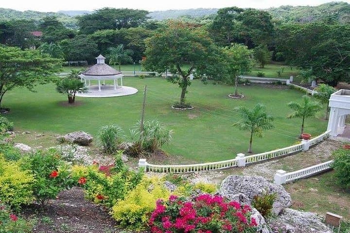 Ocho Rios ATV and River Swim: Heritage, Great House & Jungle Trails photo 2