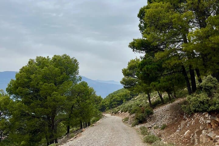 Half-Day Hike to Chefchaouen’s Mountain Viewpoints — Rif Mountains Walk photo 6