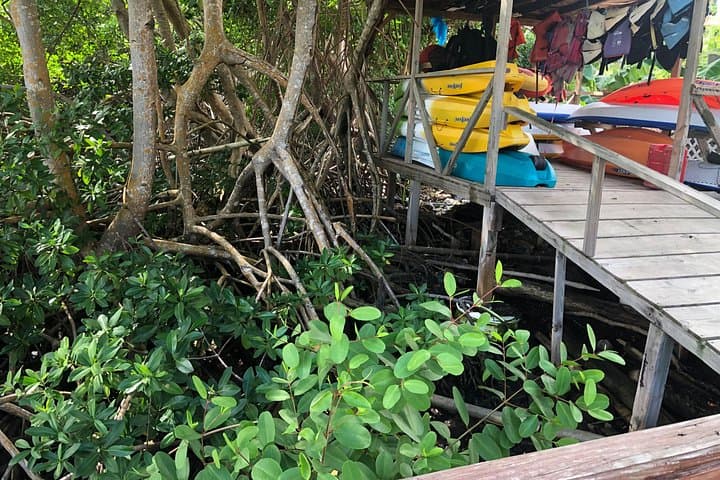 East Coast Private Island Kayak & Picnic Day Trip in Saint Lucia photo 3