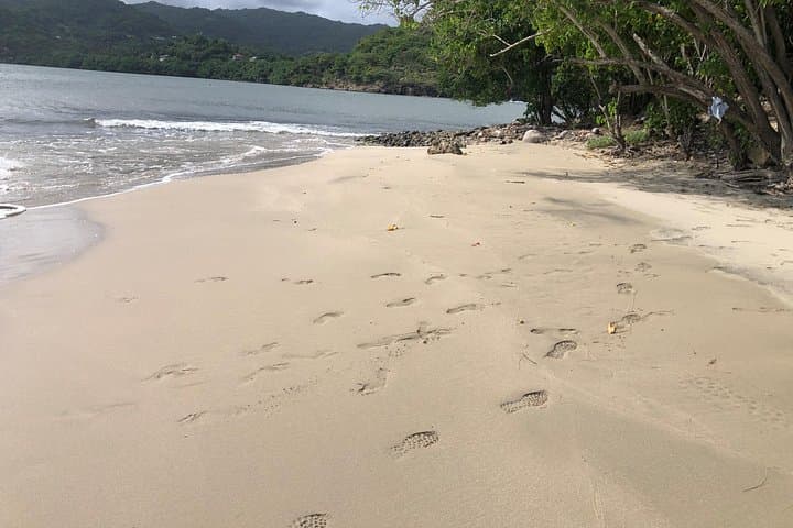 East Coast Private Island Kayak & Picnic Day Trip in Saint Lucia photo 4