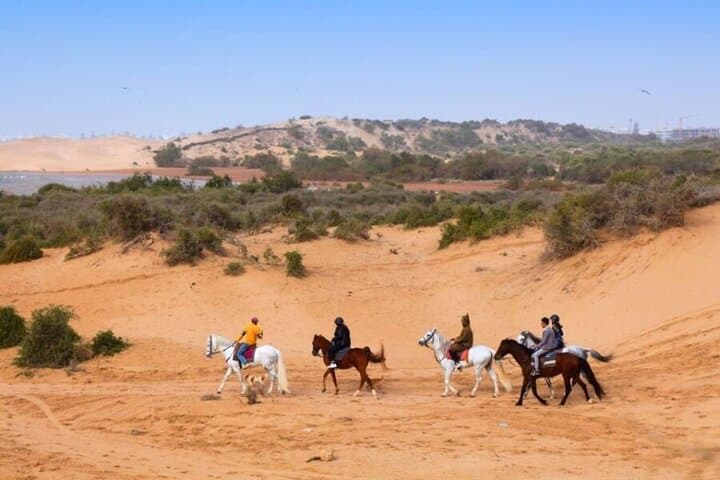 Coastal Horseback Riding in Agadir: 2-Hour Dune & Eucalyptus Forest Ride