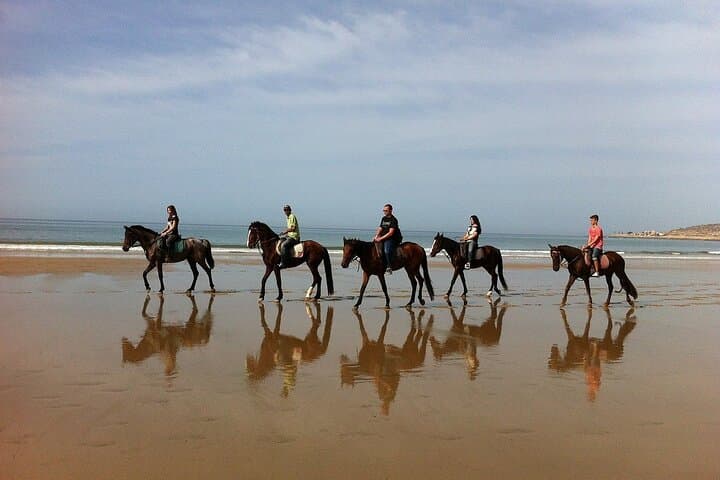 Coastal Horseback Riding in Agadir: 2-Hour Dune & Eucalyptus Forest Ride photo 2