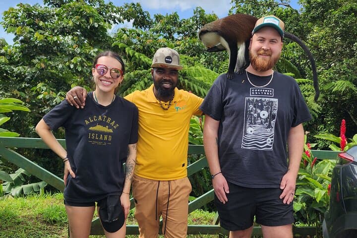 Guided Grenada Island Tour: Waterfalls, Chocolate & Rainforest Wildlife photo 2