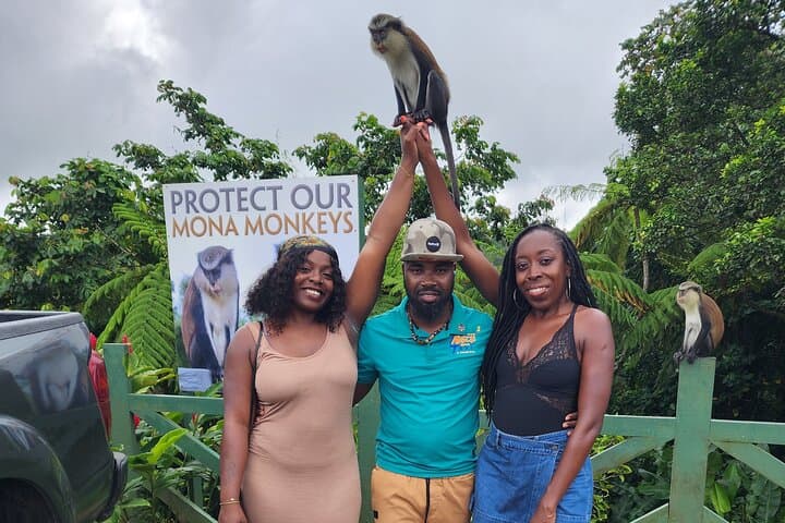 Guided Grenada Island Tour: Waterfalls, Chocolate & Rainforest Wildlife photo 3