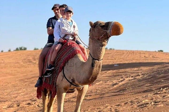 Abu Dhabi Red Dunes Desert Safari: 4x4 Dune Bashing, Camel Rides & Evening Camp