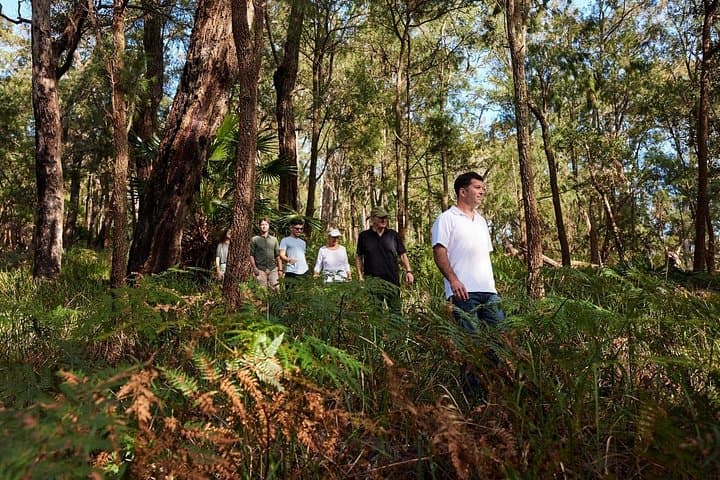 Northern Sydney Beaches and Ku-ring-gai Chase Day Tour from Sydney photo 2