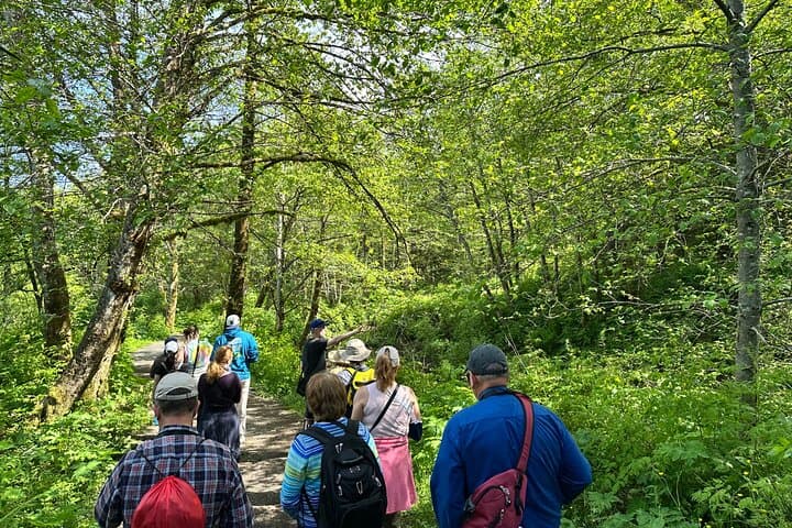 Treadwell Mine Ruins Walking Tour with Augmented Reality in Juneau photo 2