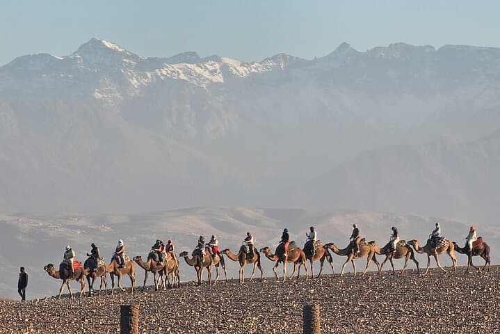 Agafay Desert Camel Ride and Moroccan Dinner Show — Evening Tour from Marrakech photo 3
