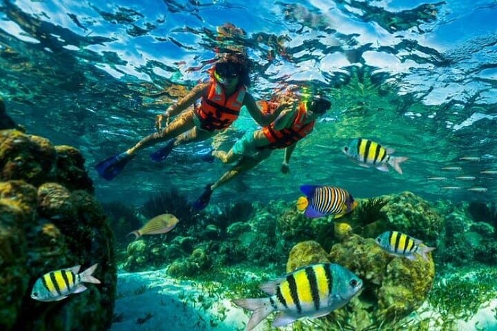 Roatán Drift Snorkel and Private Beach Break with Chocolate Tasting