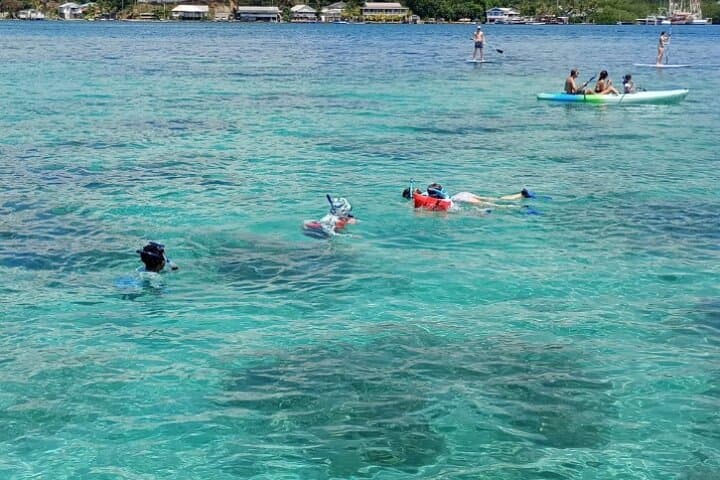 Roatán Drift Snorkel and Private Beach Break with Chocolate Tasting photo 3