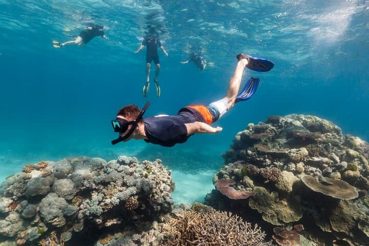 Roatán Drift Snorkel and Private Beach Break with Chocolate Tasting photo 5