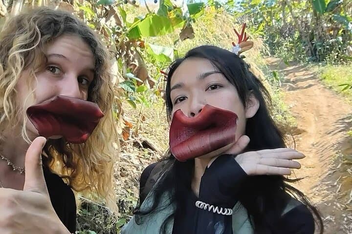 Chiang Rai Jungle Trek: Waterfalls, Hot Springs & Hill-Tribe Villages photo 2