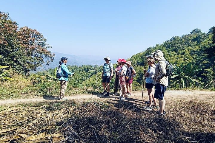 Chiang Rai Jungle Trek: Waterfalls, Hot Springs & Hill-Tribe Villages photo 4