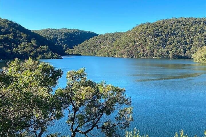 Private Koala Park Sanctuary Minivan Tour from Sydney — Hawkesbury River Cruise & Koala Encounter photo 4