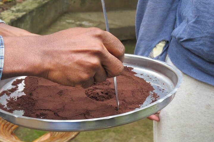 Authentic Arusha Coffee Experience: Farm Tour & Tasting Near Mount Meru