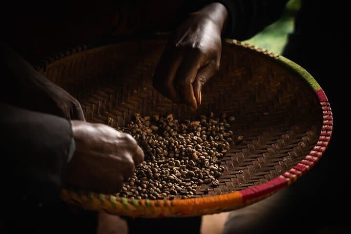 Authentic Arusha Coffee Experience: Farm Tour & Tasting Near Mount Meru photo 6