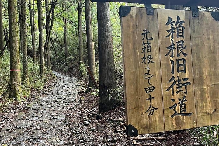 Hike the Old Tokaido: Hakone Historical Trail to Hakone Shrine and Lake Ashi