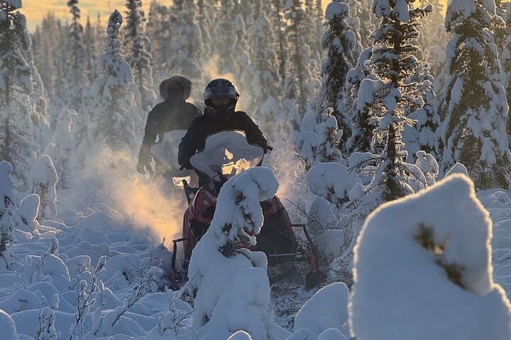 Thrilling Glacier Snowmobile Tour on the Frozen Chena River photo 3