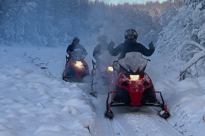 Thrilling Glacier Snowmobile Tour on the Frozen Chena River photo 4