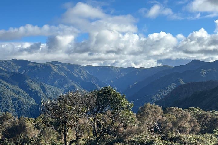 Southwest Madeira 4x4 Cultural & Geological Full-Day Jeep Adventure photo 4