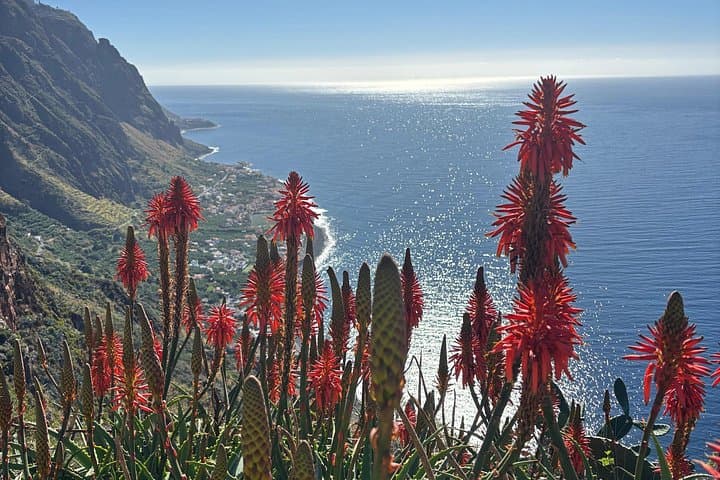 Southwest Madeira 4x4 Cultural & Geological Full-Day Jeep Adventure photo 2