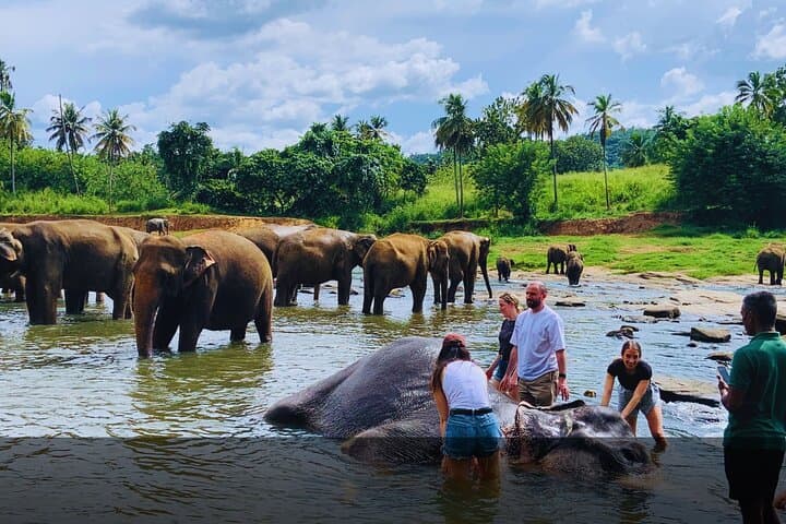 Serenity Escape: 5-Day Eco-Friendly Private Tour of Sri Lanka photo 3