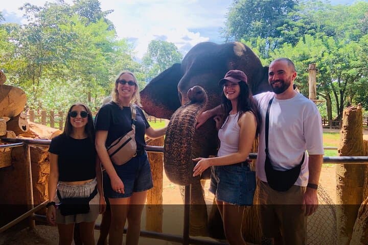 Serenity Escape: 5-Day Eco-Friendly Private Tour of Sri Lanka photo 1