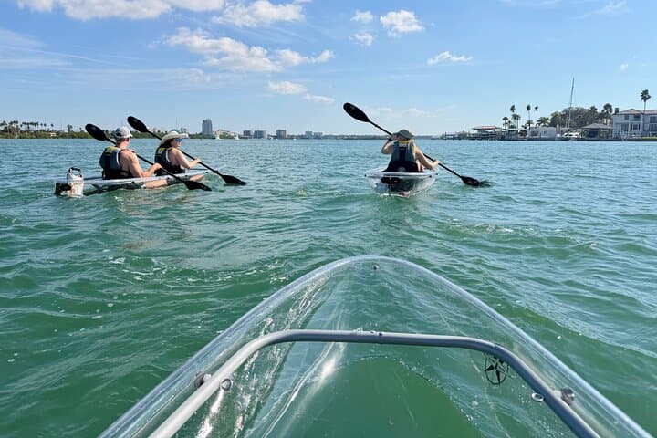 Clear Kayak Tour of Clearwater Beach: Clear-Hull Kayaking & Dolphin Watching photo 1