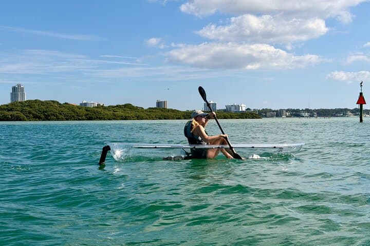 Clear Kayak Tour of Clearwater Beach: Clear-Hull Kayaking & Dolphin Watching photo 3