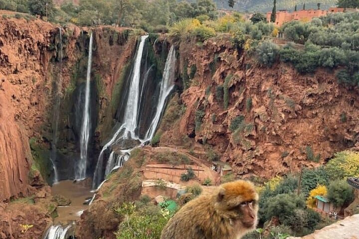Ouzoud Waterfalls Day Trip from Marrakech: Hike, Boat Ride & Berber Village Views photo 2