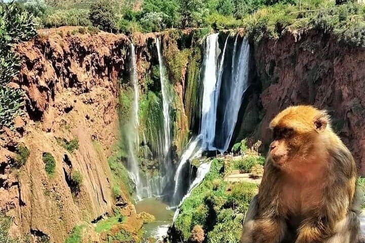 Ouzoud Waterfalls Day Trip from Marrakech: Hike, Boat Ride & Berber Village Views photo 5
