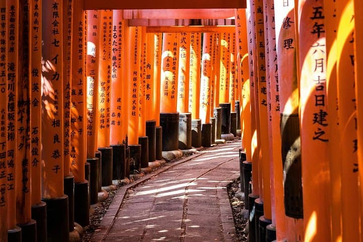 Kansai Day Trip: Nara Deer, Fushimi Inari Torii & Arashiyama Bamboo Grove photo 4