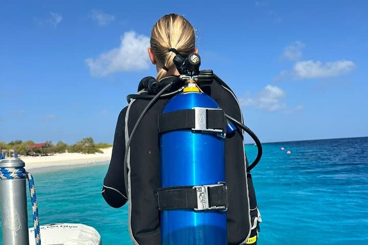 Private Two‑Tank Boat Dive in Bonaire — Customized Small‑Group Scuba Adventure photo 2