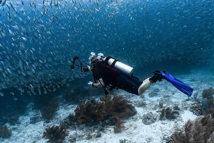 Private Two‑Tank Boat Dive in Bonaire — Customized Small‑Group Scuba Adventure photo 3