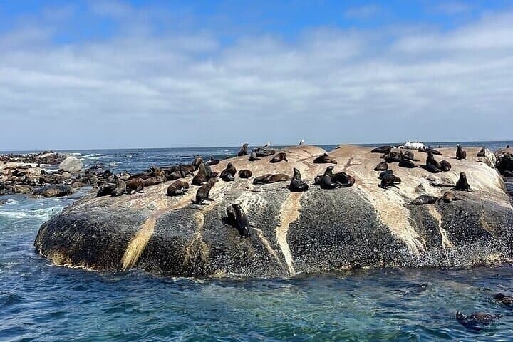 7-Day Cape Town, Winelands & Hermanus: Wine, Whales & Table Mountain photo 4