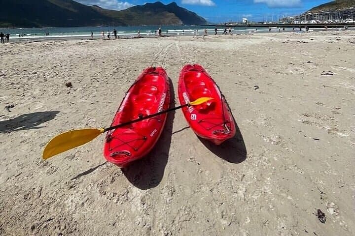 7-Day Cape Town, Winelands & Hermanus: Wine, Whales & Table Mountain photo 6